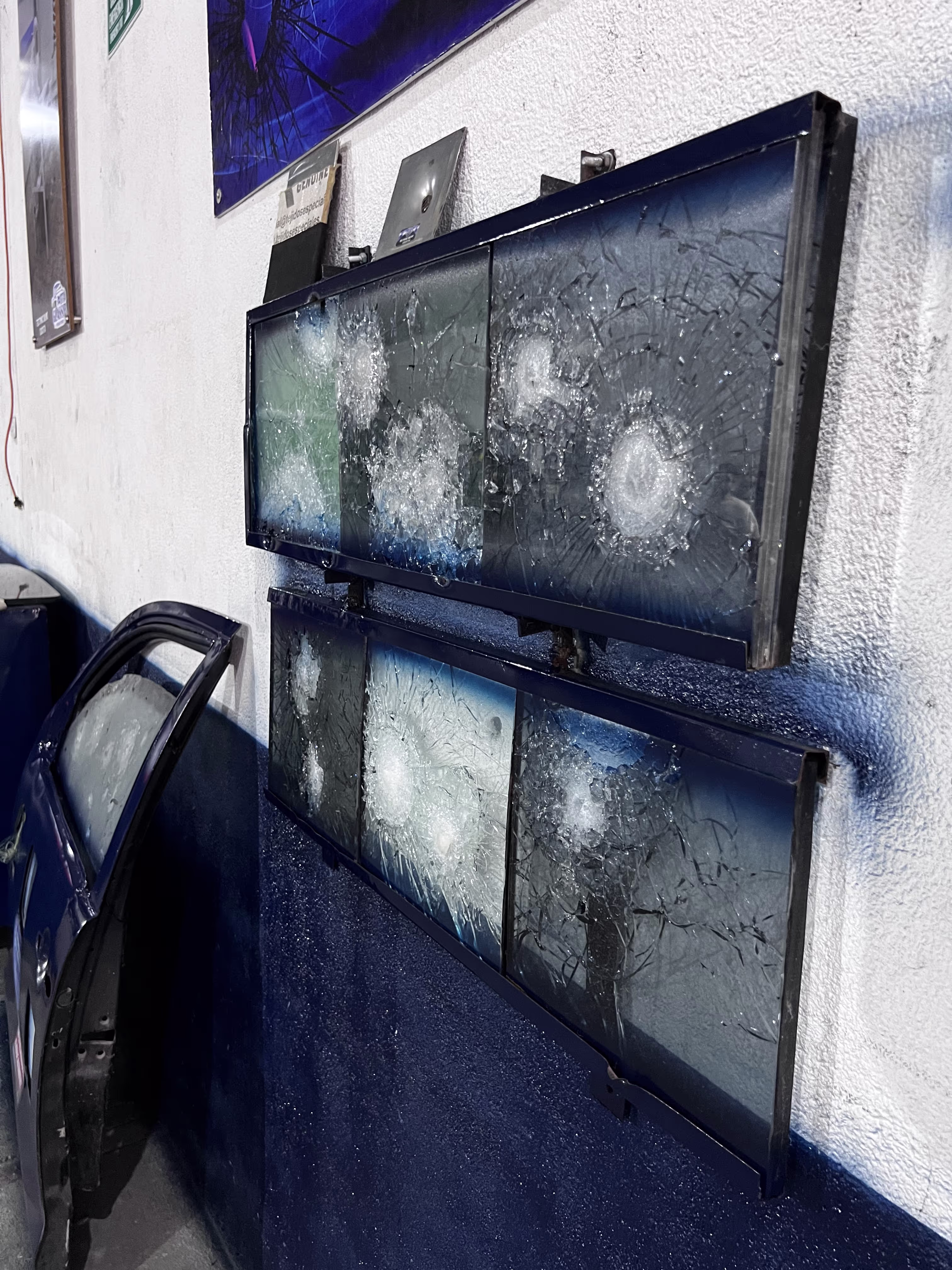 Seguridad Profesional